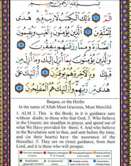 Tajweed Quran with English Translation & Transliteration