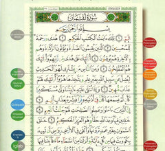 Tajweed Quran with English