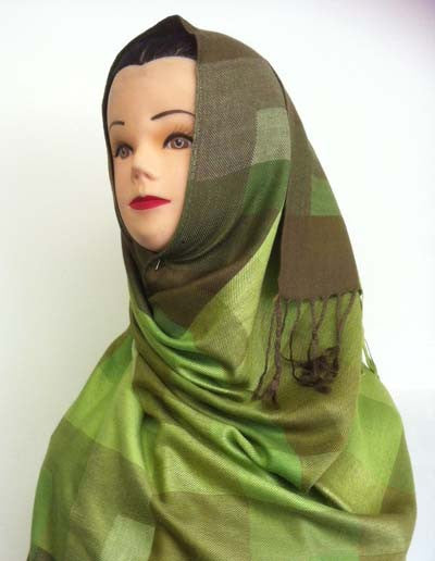 Buy Elegant Artistic Ladies Shawls online