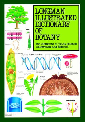 Illustrated Dictionary of Botany English-Arabic - Botany - English-Arabic Dictionary - Special Interest - Arabic Islamic Shopping Store