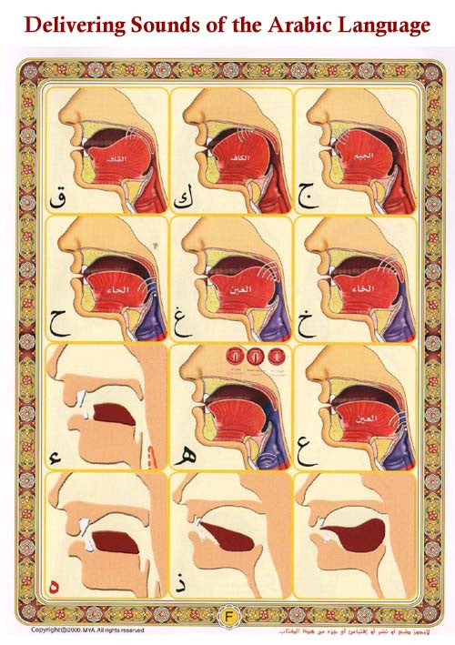 Noorani Qa'idah for learning Quran (Book Only) - Arabic Islamic Shopping Store - 3