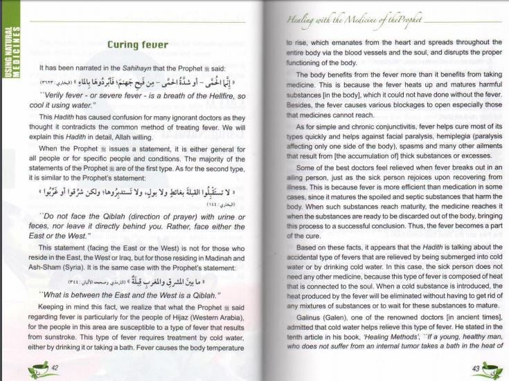 Medicine Of The Prophet - Islamic Medicine and Healing - Arabic Islamic Shopping Store - 2