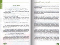 Medicine Of The Prophet - Islamic Medicine and Healing - Arabic Islamic Shopping Store - 2