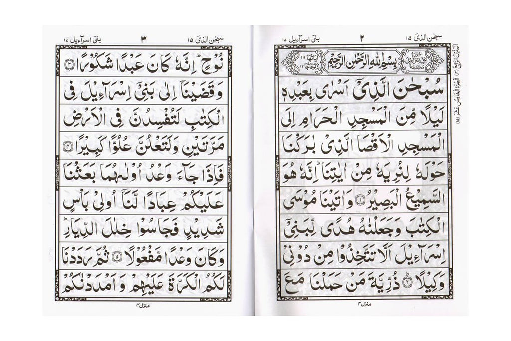 30 Separate Parts Indo-Pak Script 9 Line (PB 100)