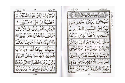 30 Separate Parts Indo-Pak Script 9 Line (PB 100)