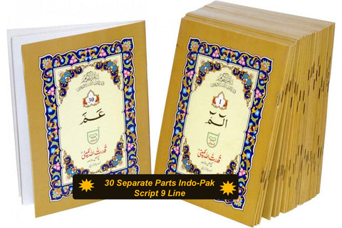 30 Separate Parts Indo-Pak Script 9 Line (PB 100)