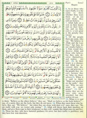 Tajweed Quran with English