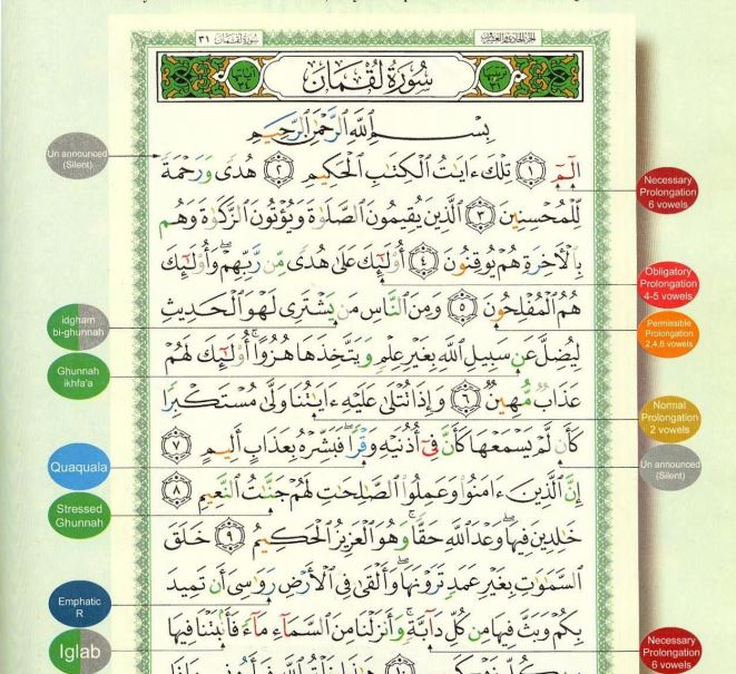 Tajweed Quran with English